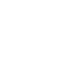 Vector Icon