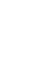 Vector Icon